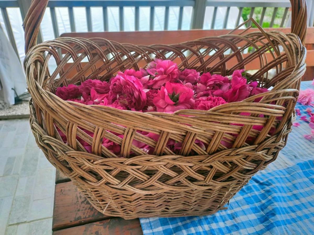 Agritur Maso Flonkeri Bed & Breakfast Bosentino Ngoại thất bức ảnh